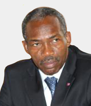 Mr. Jules Doret Ndongo