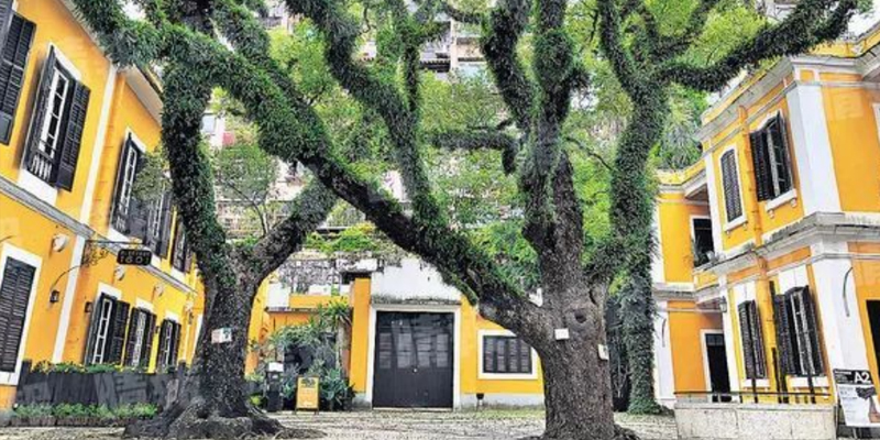 Albergue da Santa Casa da Misericórdia (Holy House of Mercy Albergue)