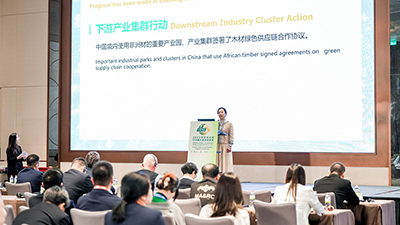 Sub-forum 4: Presentation by Dr. Luo Xinjian, DG, Global Green Supply Chain of Forest Products (Macao) Federation
