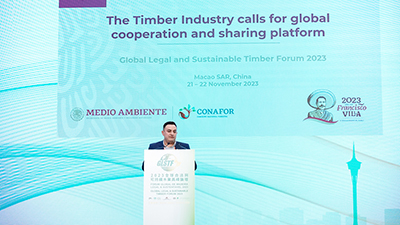 Presentation by Mr. Diego Montiel Oscura, Deputy Manager, Comisión Nacional Forestal (CONAFOR), Mexico