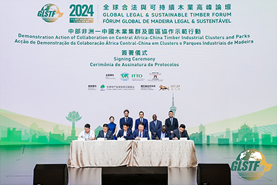 Achievements Release: Demonstration Action of Collaboration on Central Africa-China Timber Industrial Clusters and Parks