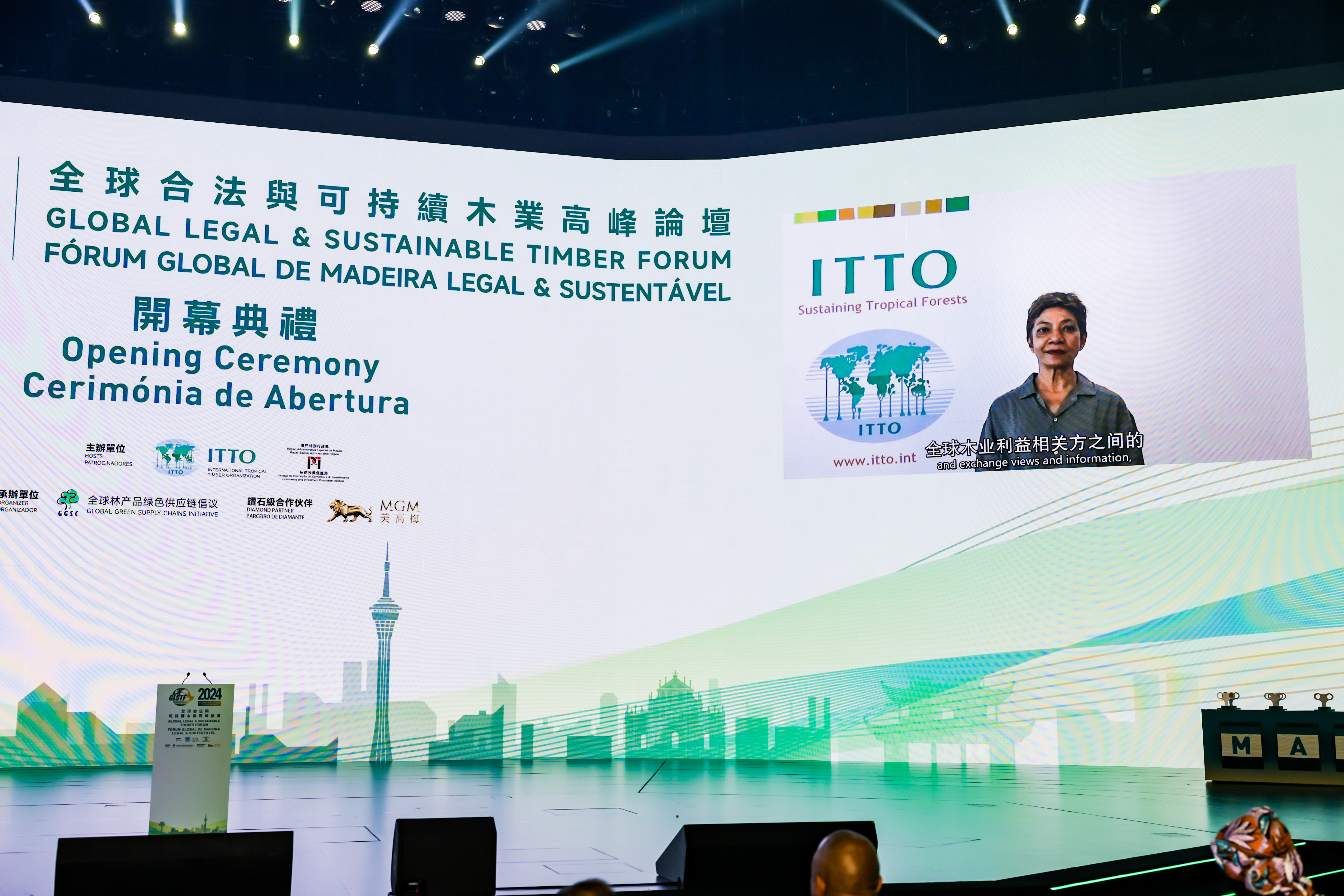 In her video address, Executive Director of the International Tropical Timber Organization (ITTO) Sheam Satkuru urges all sectors of society to support the development and improvement of a sustainable global timber supply chain.